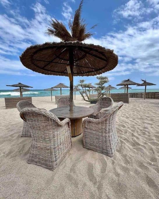 Les Voiles Blanches T2 Luxe A 100M De La Plage Leucate Εξωτερικό φωτογραφία