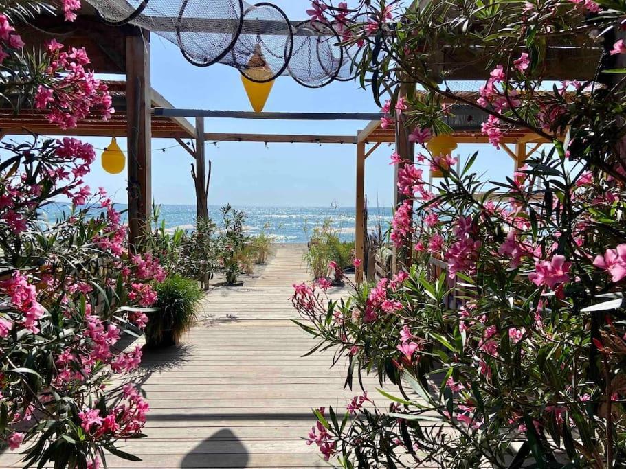 Les Voiles Blanches T2 Luxe A 100M De La Plage Leucate Εξωτερικό φωτογραφία