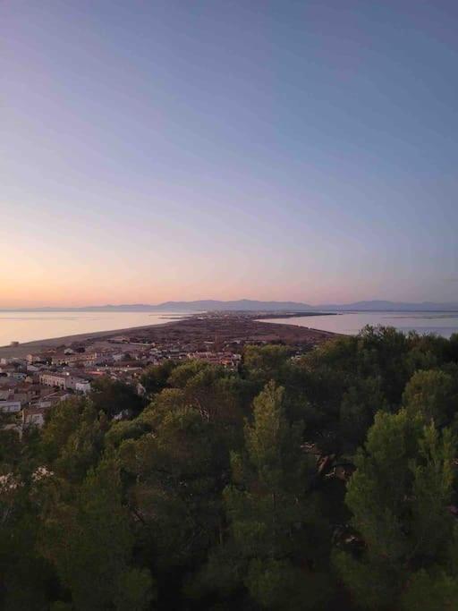 Les Voiles Blanches T2 Luxe A 100M De La Plage Leucate Εξωτερικό φωτογραφία