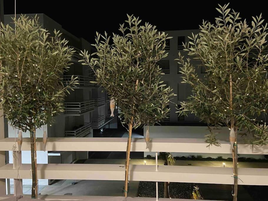 Les Voiles Blanches T2 Luxe A 100M De La Plage Leucate Εξωτερικό φωτογραφία