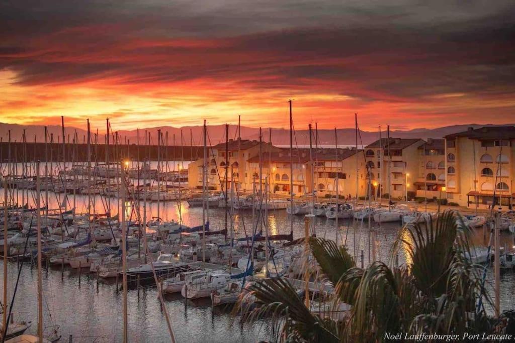 Les Voiles Blanches T2 Luxe A 100M De La Plage Leucate Εξωτερικό φωτογραφία